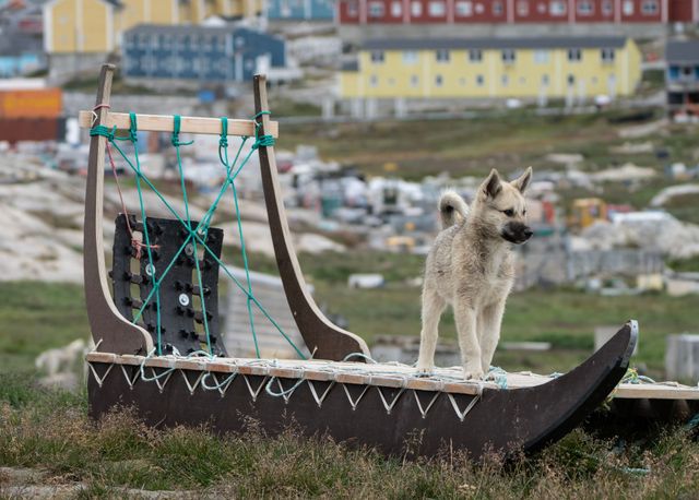 Into the Arctic
